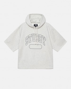 Stussy Ss Boxy Cropped Hoodie Men Hoodie Grey | GMY-9994