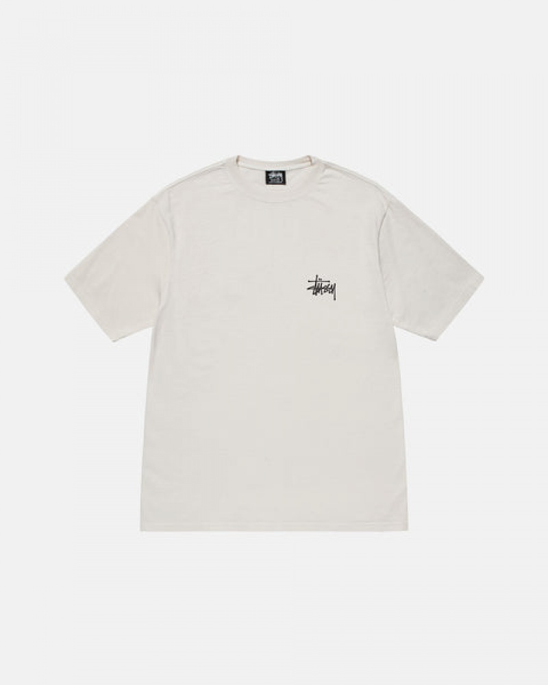 Stussy Basic Stussy Tee Men T Shirt Beige | NVQ-3710