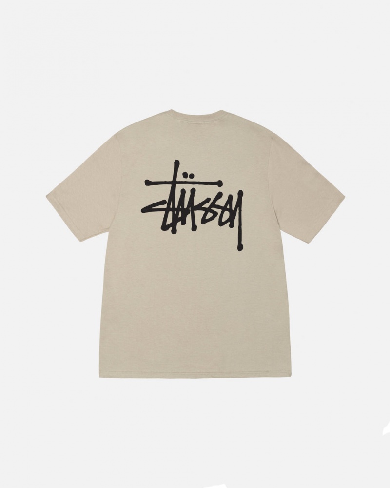 Stussy Basic Stussy Tee Men T Shirt Khaki | OUC-0988