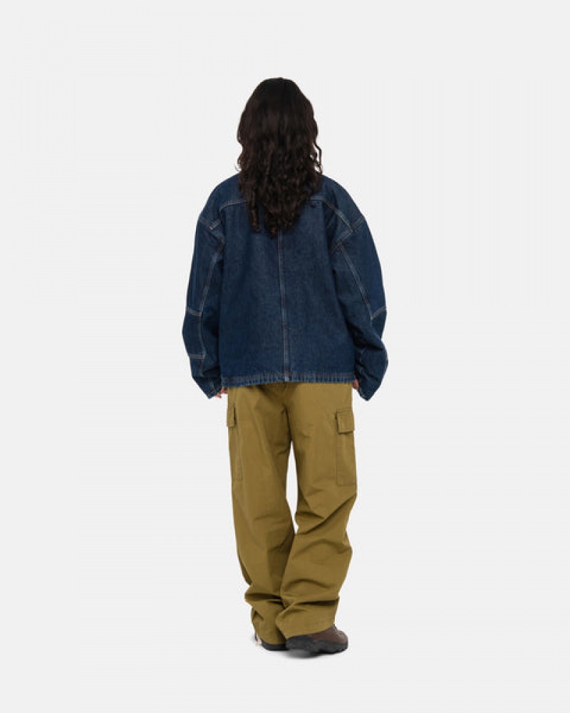 Stussy Beach Pant Ripstop Cargo Men Pants Brown | RLB-3423