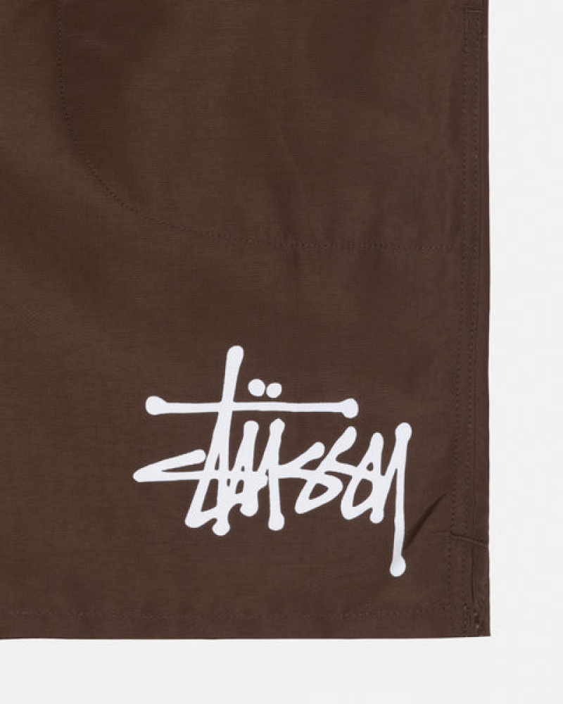 Stussy Big Basic Water Short Men Swimwear Coffee | ZGC-7646