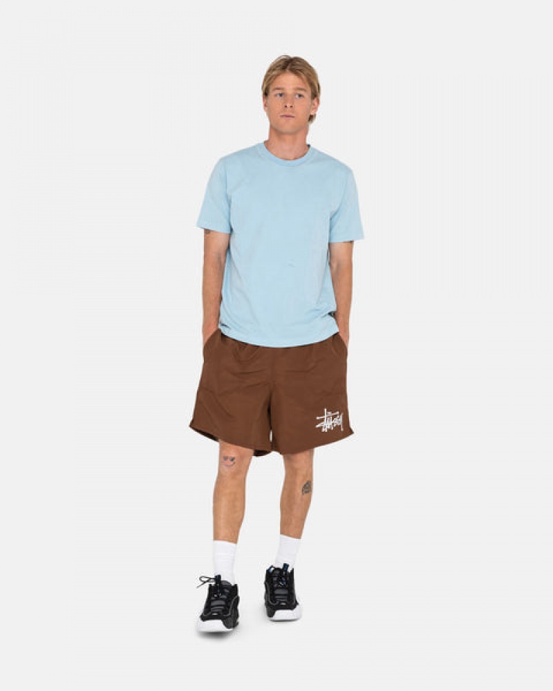 Stussy Big Basic Water Short Men Swimwear Coffee | ZGC-7646