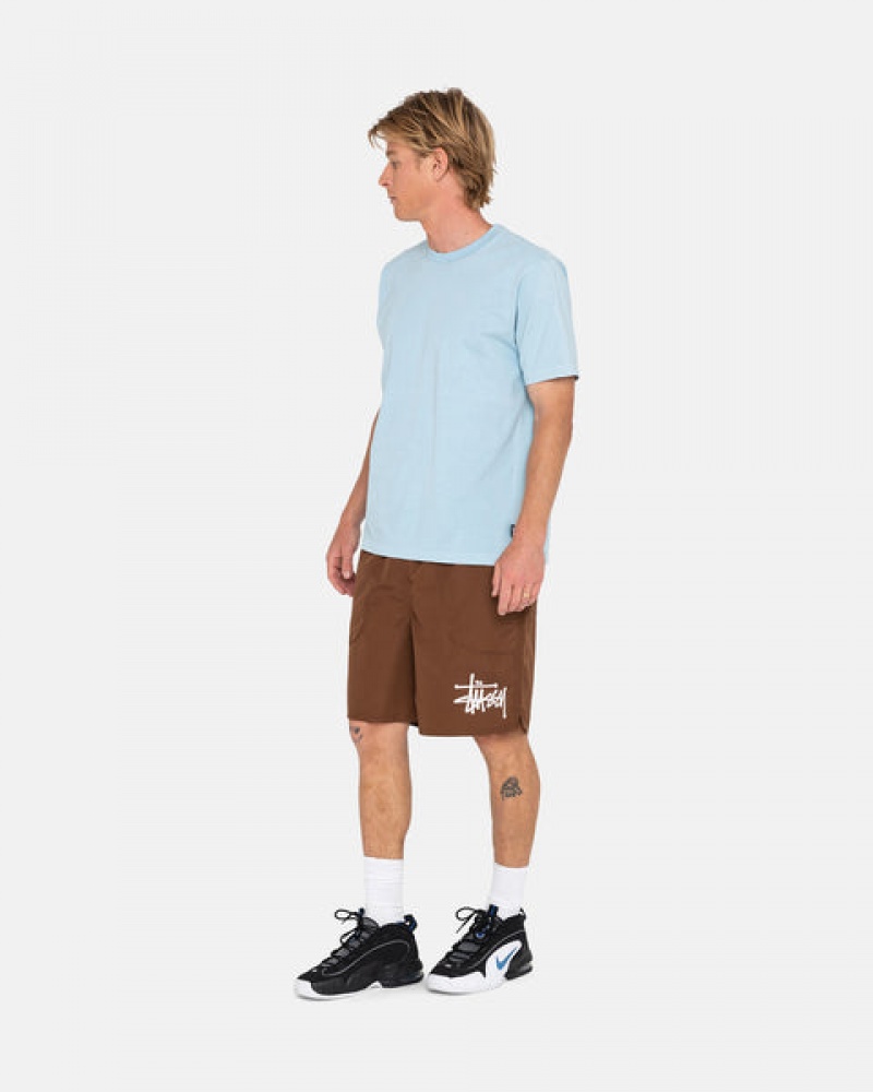 Stussy Big Basic Water Short Men Swimwear Coffee | ZGC-7646