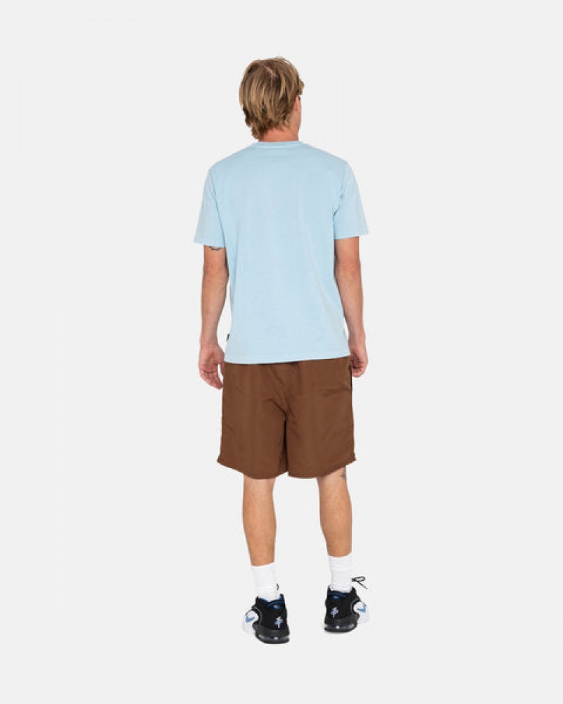 Stussy Big Basic Water Short Men Swimwear Coffee | ZGC-7646