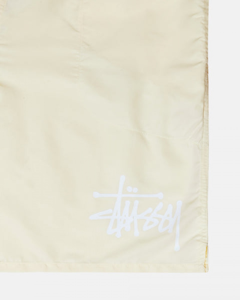 Stussy Big Basic Water Short Men Swimwear Cream | HZB-8696