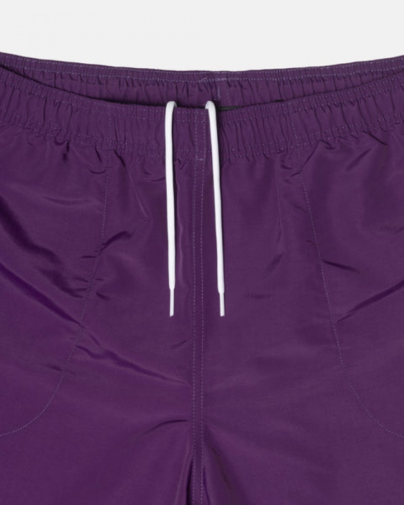 Stussy Big Basic Water Short Men Swimwear Fuchsia | NIQ-5986