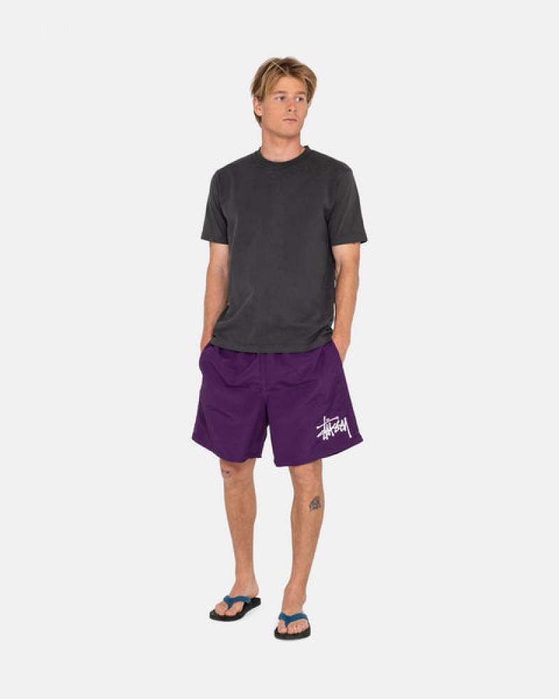 Stussy Big Basic Water Short Men Swimwear Fuchsia | NIQ-5986