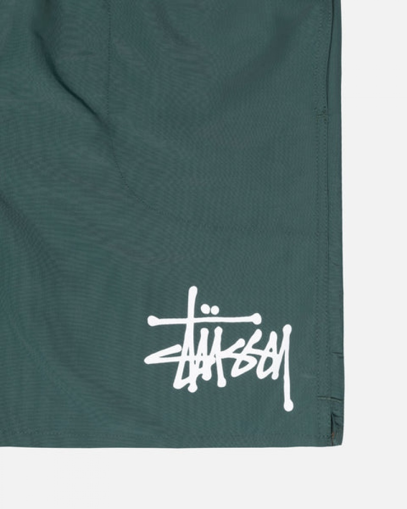 Stussy Big Basic Water Short Men Swimwear Green | URR-6039