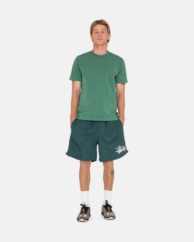 Stussy Big Basic Water Short Men Swimwear Green | URR-6039