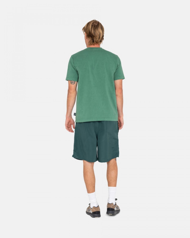 Stussy Big Basic Water Short Men Swimwear Green | URR-6039