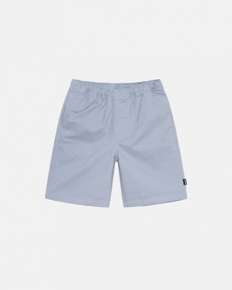 Stussy Brushed Beach Short Men Shorts Blue | VFD-9806