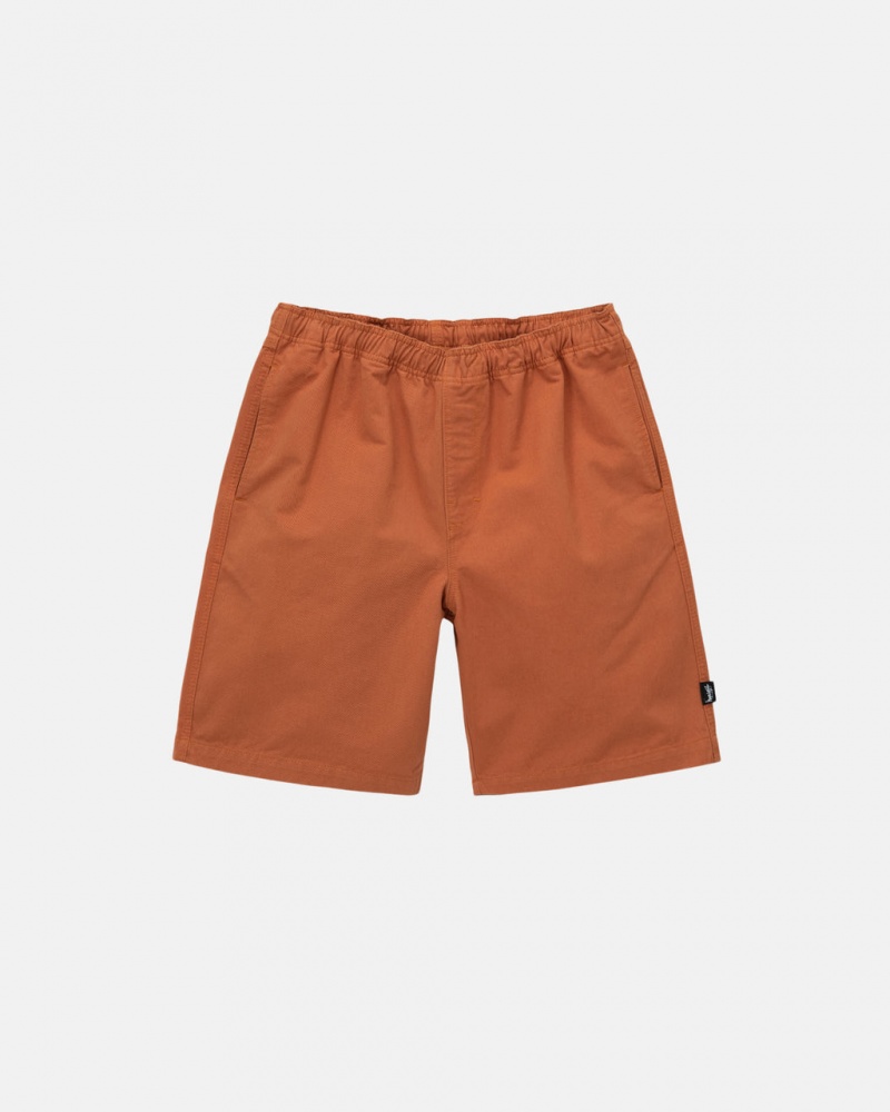 Stussy Brushed Beach Short Men Shorts Brown | FPX-5141