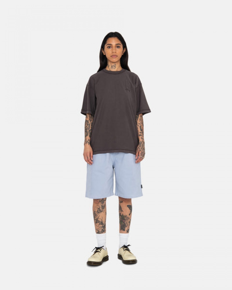 Stussy Brushed Beach Short Women Shorts Blue | NPL-5537