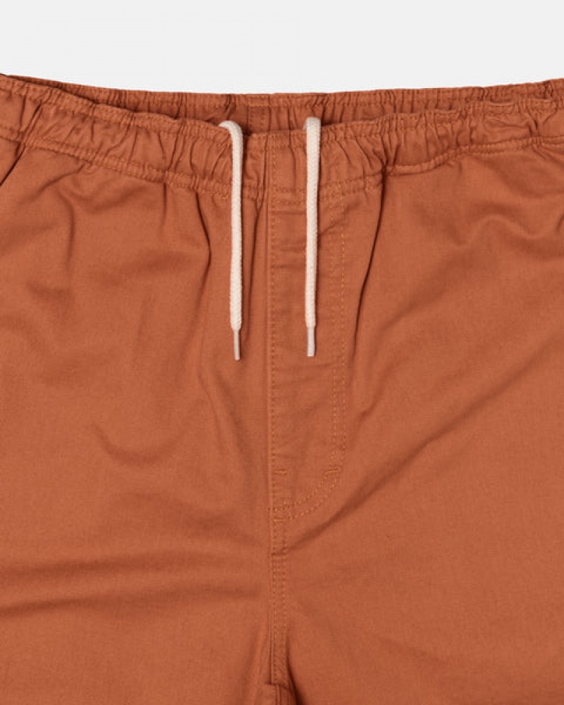 Stussy Brushed Beach Short Women Shorts Brown | ICS-6535