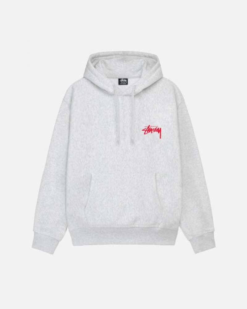 Stussy Skate Tough Hoodie Women Hoodie Grey | XSB-5733