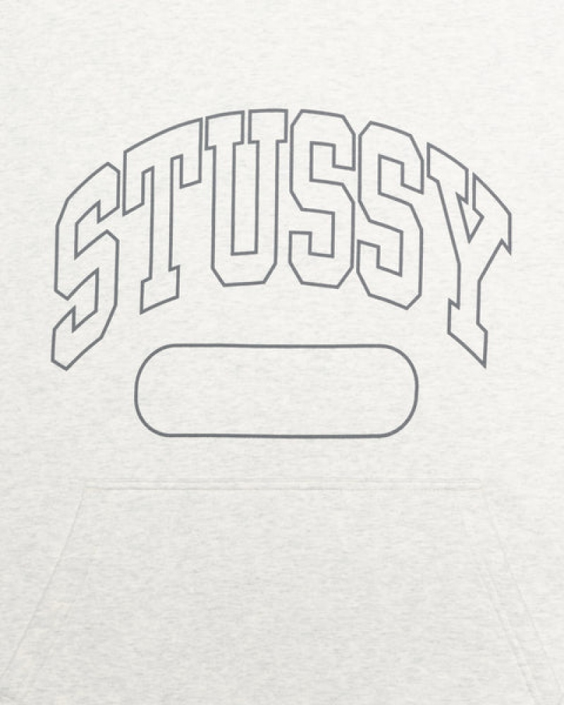 Stussy Ss Boxy Cropped Hoodie Women Hoodie Grey | UEO-0158