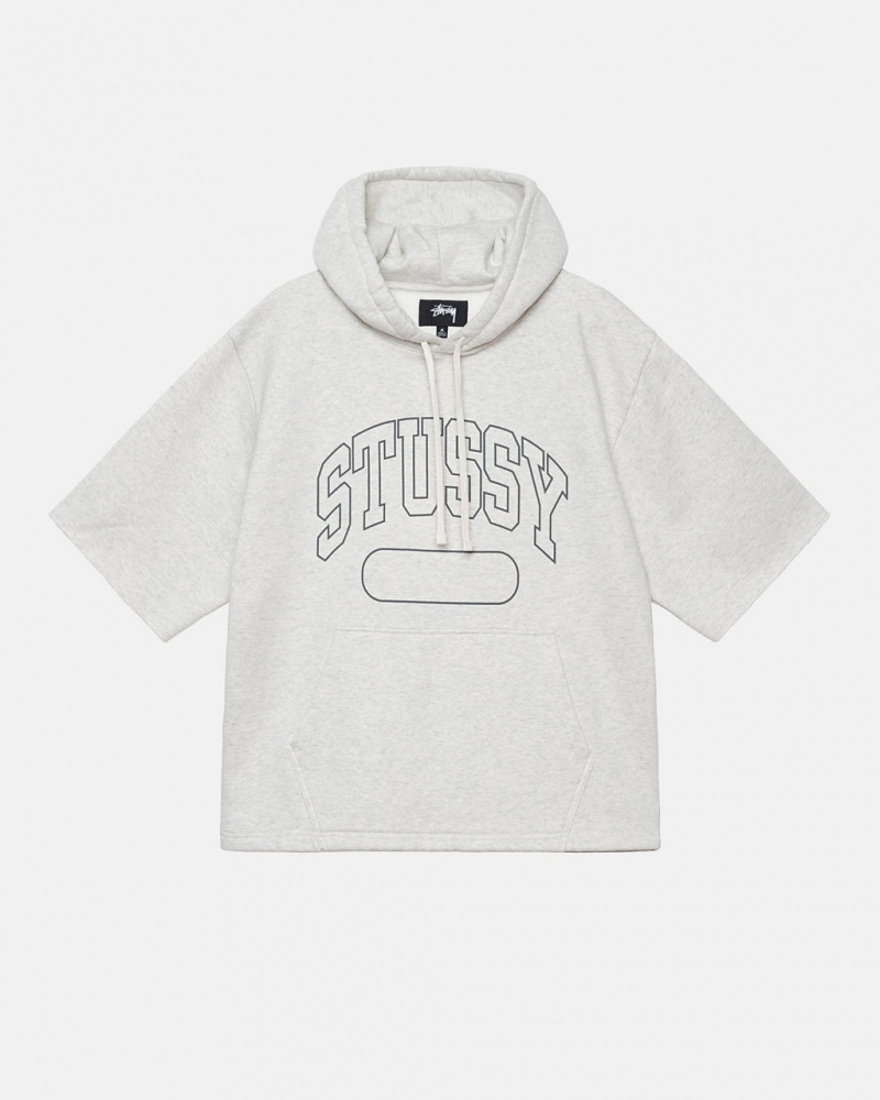 Stussy Ss Boxy Cropped Hoodie Women Hoodie Grey | UEO-0158